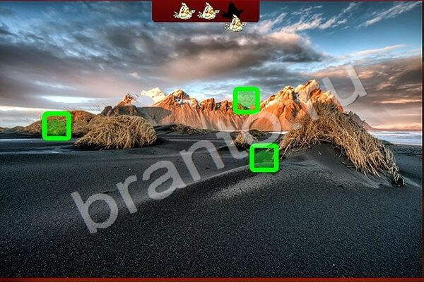 Найди птичек решения Уровень 172