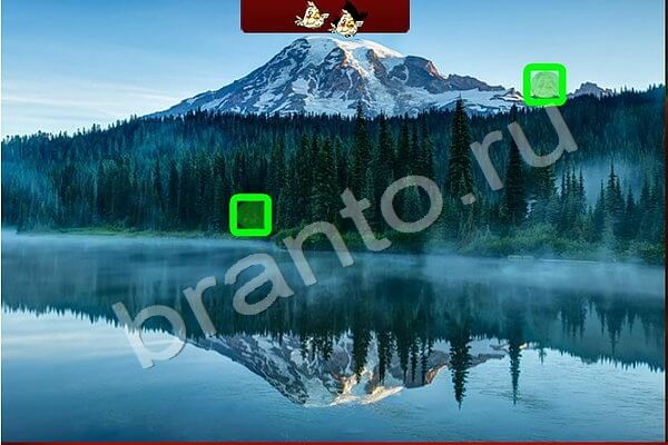 Найди птичек игра ответы Уровень 173