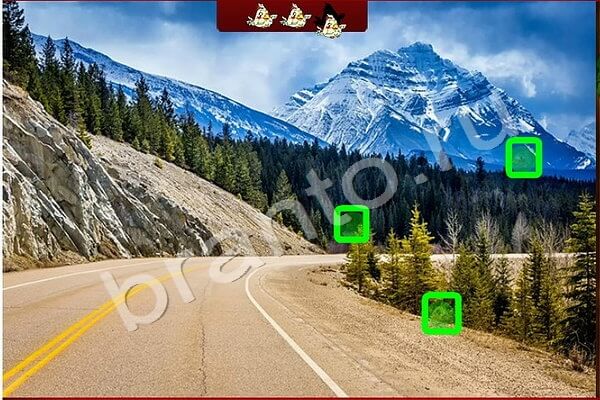 Найди птичек игра помощь Уровень 175