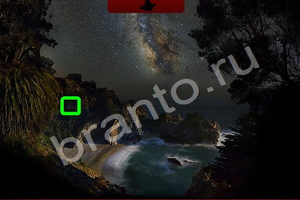 Найди птичек ответы в картинках Уровень 176