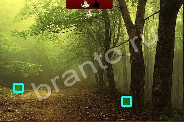 игра Найди птичек ответ на Уровень 180