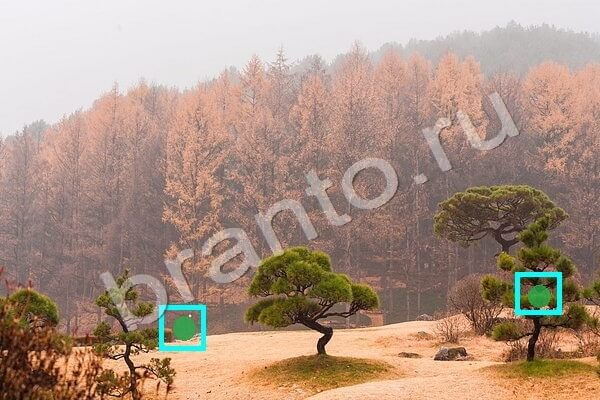 ответы на игру Найди птичек в одноклассниках Уровень 181
