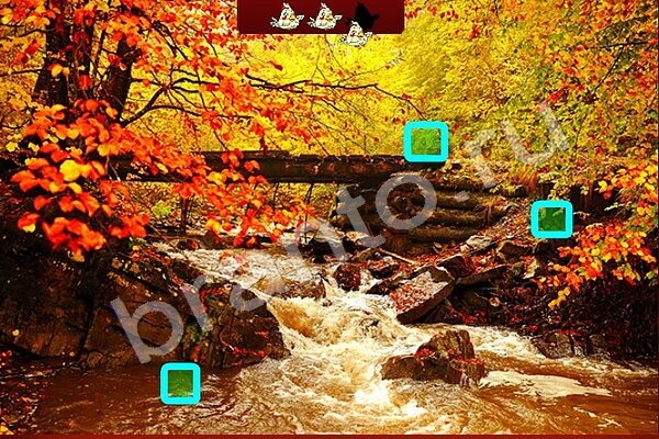 Решения на игру Найди птичек Уровень 183