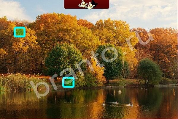 Помощь на игру ВК Найди птичек Уровень 184