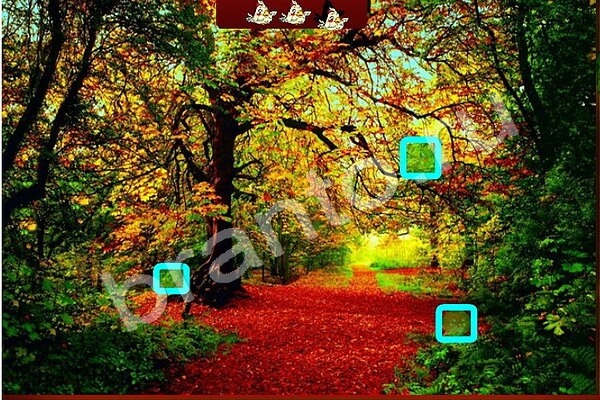 ответы на игру в одноклассниках Найди птичек Уровень 186