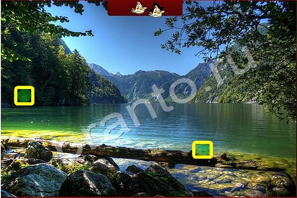 Найди птичек подсказки в контакте Уровень 189