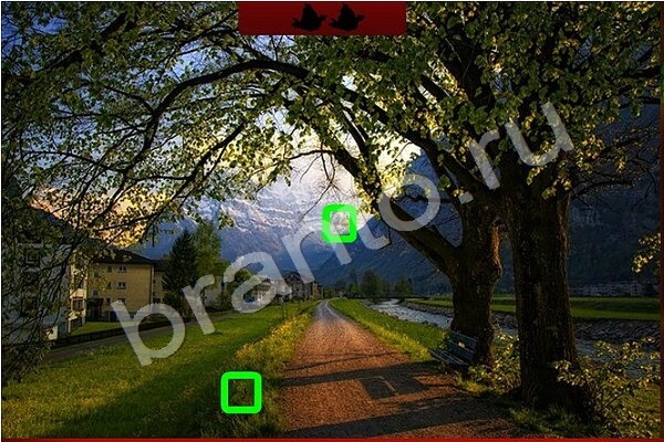 Найди птичек игра ответы Уровень 193