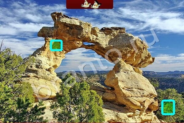 Найди птичек ответы в картинках Уровень 196