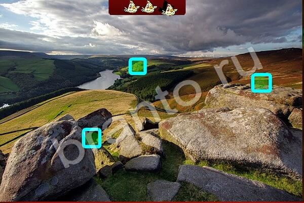 решебник на игру Найди птичек Уровень 201