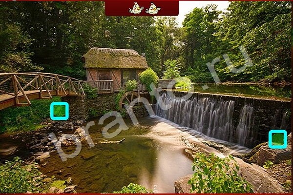 Найди птичек решения Уровень 202