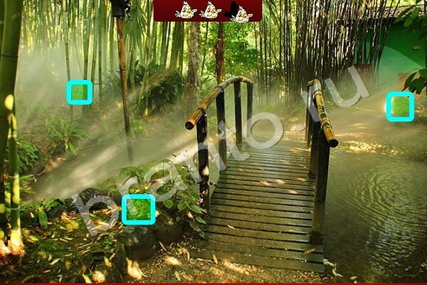 Найди птичек игра помощь Уровень 205