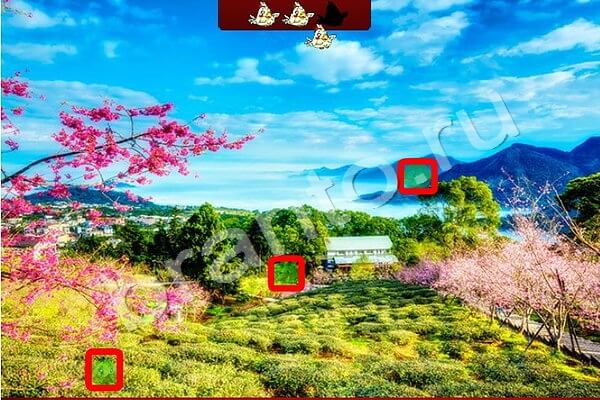 игра Найди птичек ответ на Уровень 210