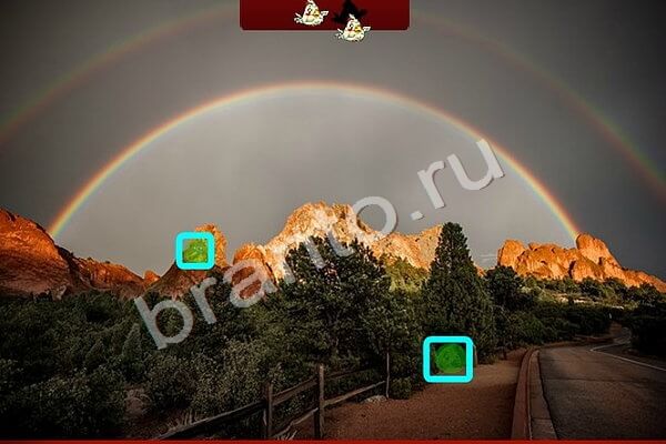 Помощь на игру ВК Птичий переполох Уровень 364