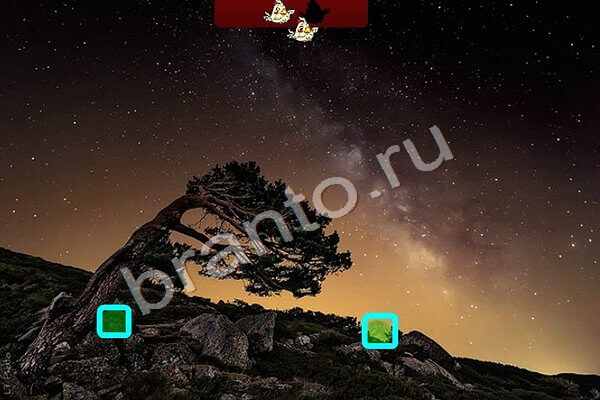 Птичий переполох игра подсказки Уровень 374