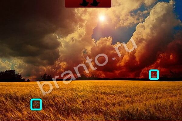 Птичий переполох ответы в картинках Уровень 376