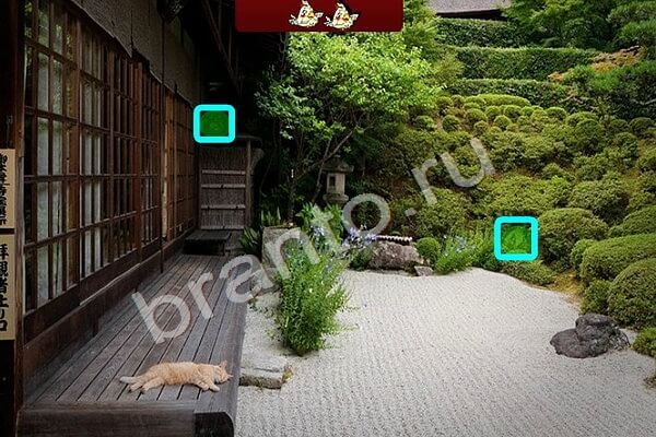 Игра Птичий переполох ответы Уровень 377