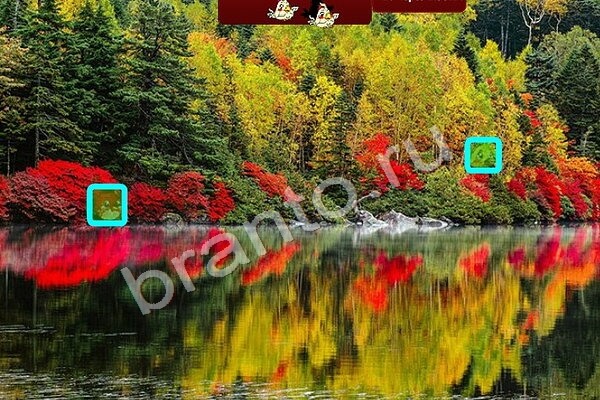 Птичий переполох игра помощь Уровень 385