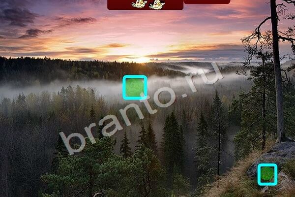 Птичий переполох ответы в картинках Уровень 386