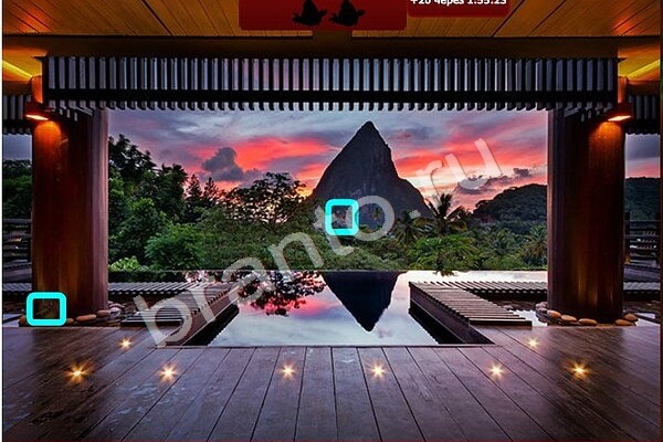 игра Птичий переполох помощь Уровень 389