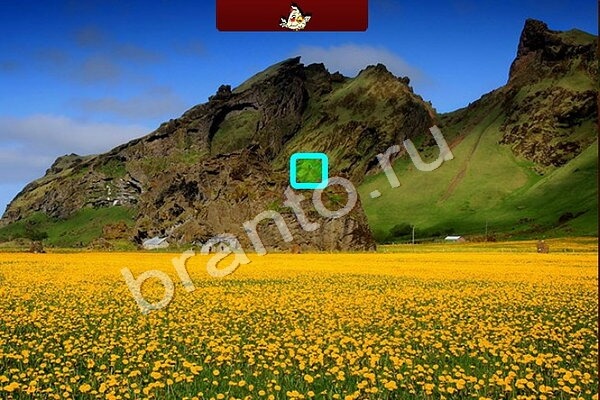 игра Птичий переполох ответ на Уровень 390