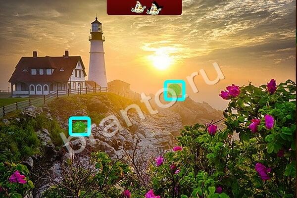 Решения на игру Птичий переполох Уровень 213