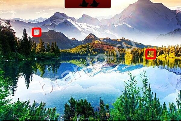 Птичий переполох подсказки в контакте Уровень 219