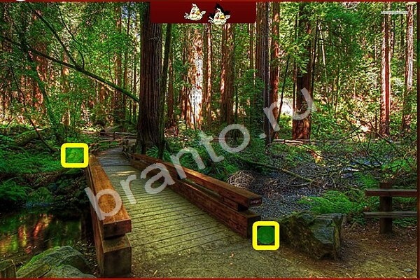 игра Птичий переполох ответ на Уровень 220