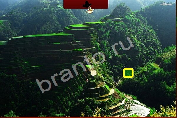 решебник на игру Птичий переполох Уровень 221