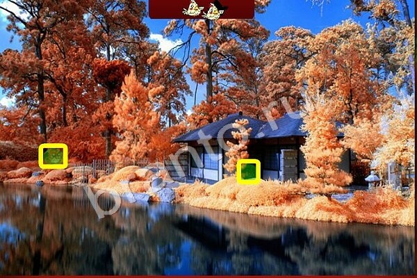 Птичий переполох игра ответы Уровень 223