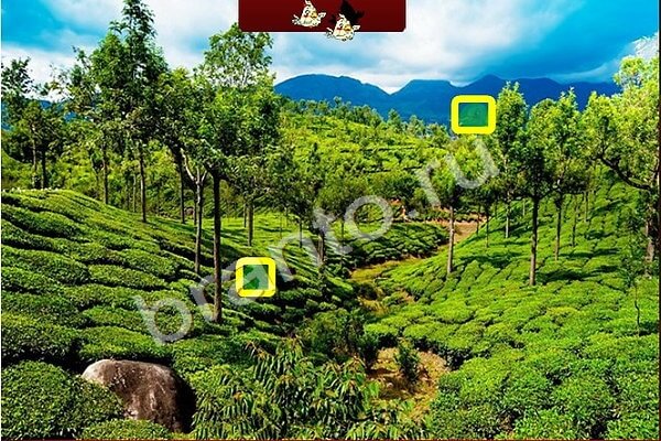 Птичий переполох игра подсказки Уровень 224