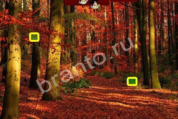 Игра Птичий переполох подсказки Уровень 228