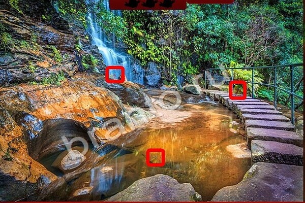 Птичий переполох игра ответы Уровень 233