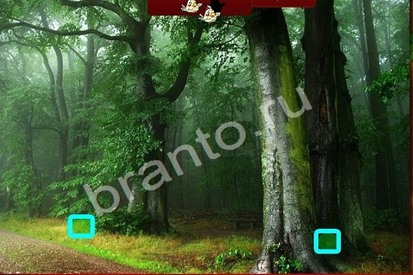 Птичий переполох игра подсказки Уровень 234