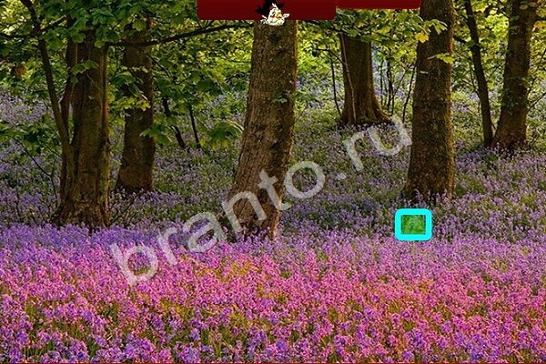 Птичий переполох игра помощь Уровень 235