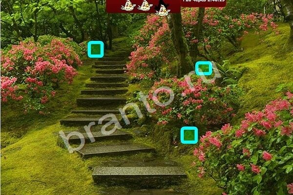 Птичий переполох ответы в картинках Уровень 236