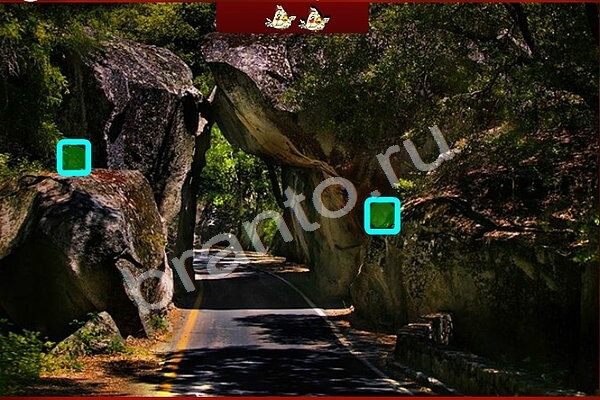 игра Птичий переполох ответ на Уровень 240