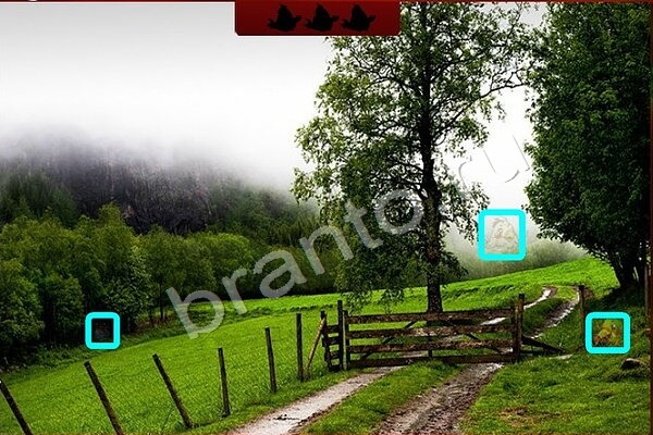 ответы на игру Птичий переполох в одноклассниках Уровень 391