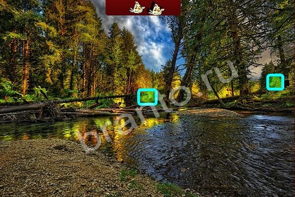 Помощь на игру ВК Птичий переполох Уровень 394