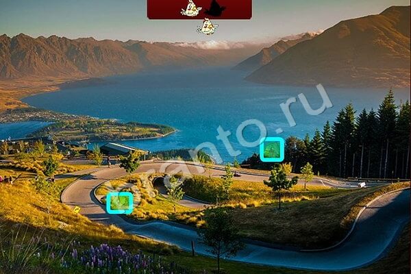 ответы на игру в одноклассниках Птичий переполох Уровень 396