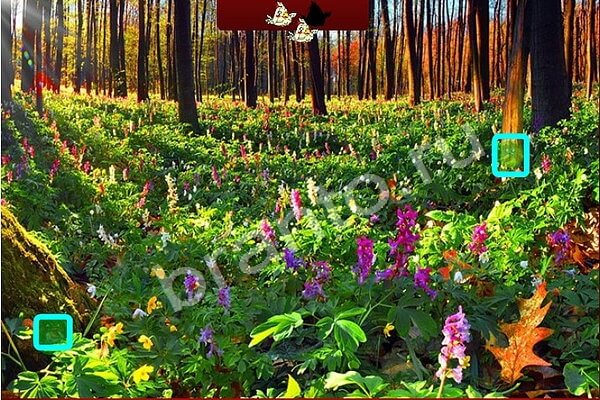 Птичий переполох игра ответы в одноклассниках Уровень 397