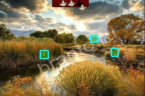 Птичий переполох подсказки в контакте Уровень 399