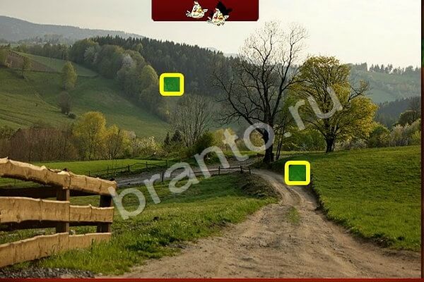 решебник на игру Птичий переполох Уровень 401