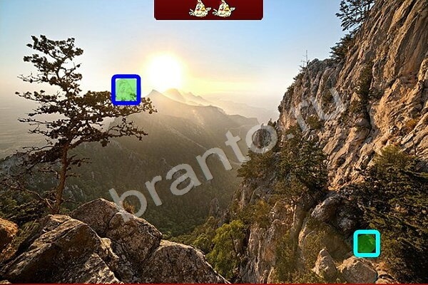 Птичий переполох игра подсказки Уровень 404