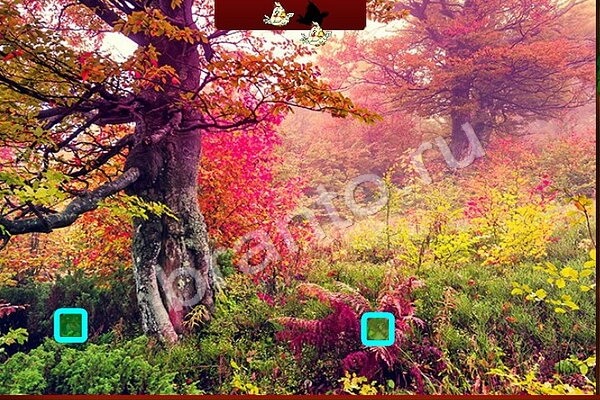 Птичий переполох ответы в картинках Уровень 406