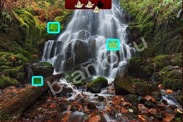 Игра Птичий переполох ответы Уровень 407