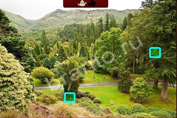 игра Птичий переполох помощь Уровень 409