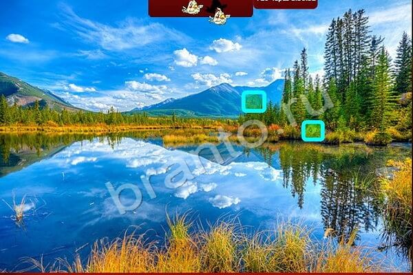 Птичий переполох решения Уровень 412