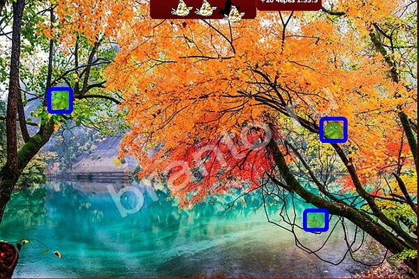 Птичий переполох игра ответы Уровень 413