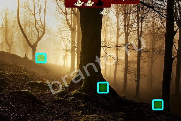 Птичий переполох игра помощь Уровень 415