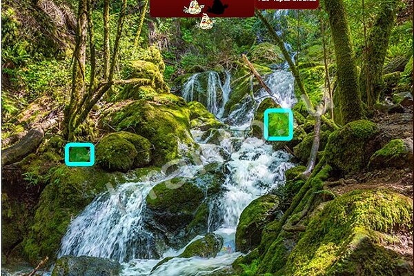 Птичий переполох ответы в картинках Уровень 416